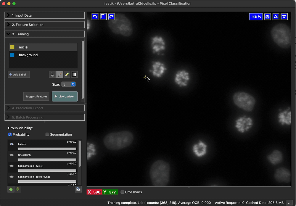 ilastik pixel classification